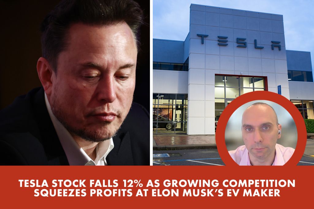 Elon Musks EV maker Tesla sees its stock fall | Reporter Replay (Video)
