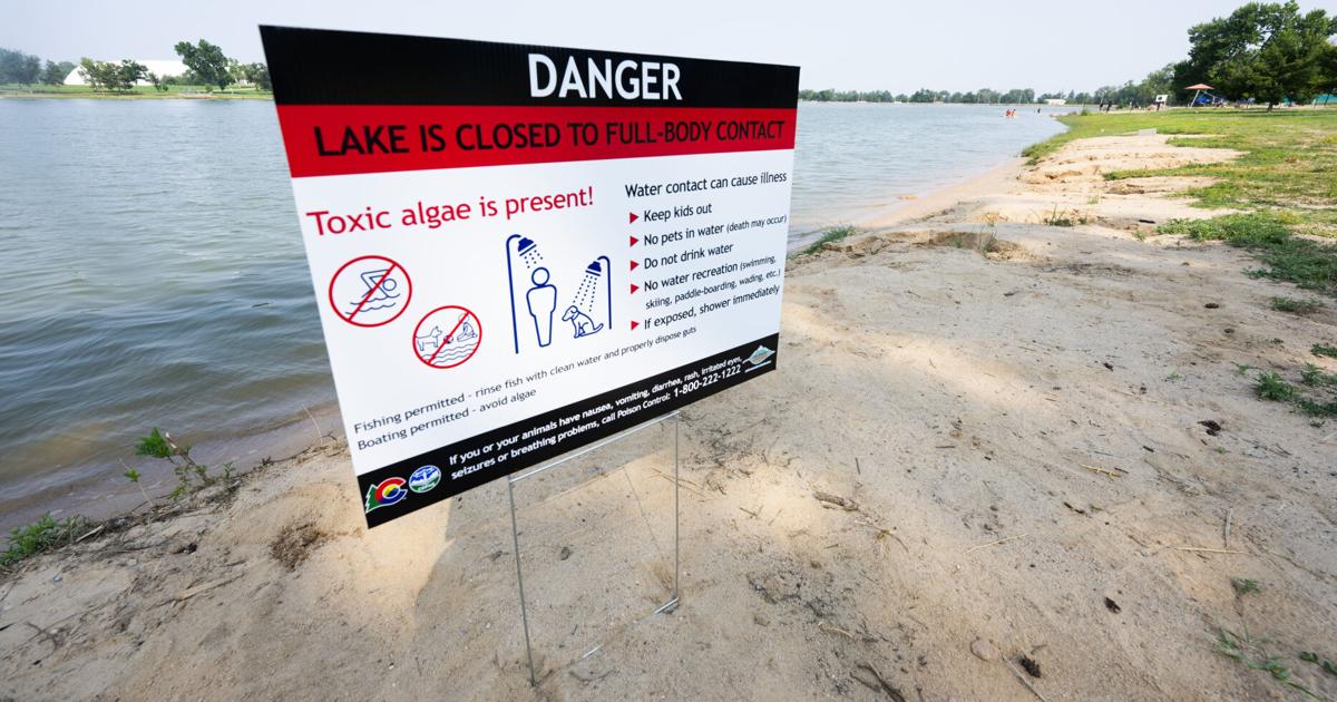 Toxic algae again strikes Prospect Lake [Video]