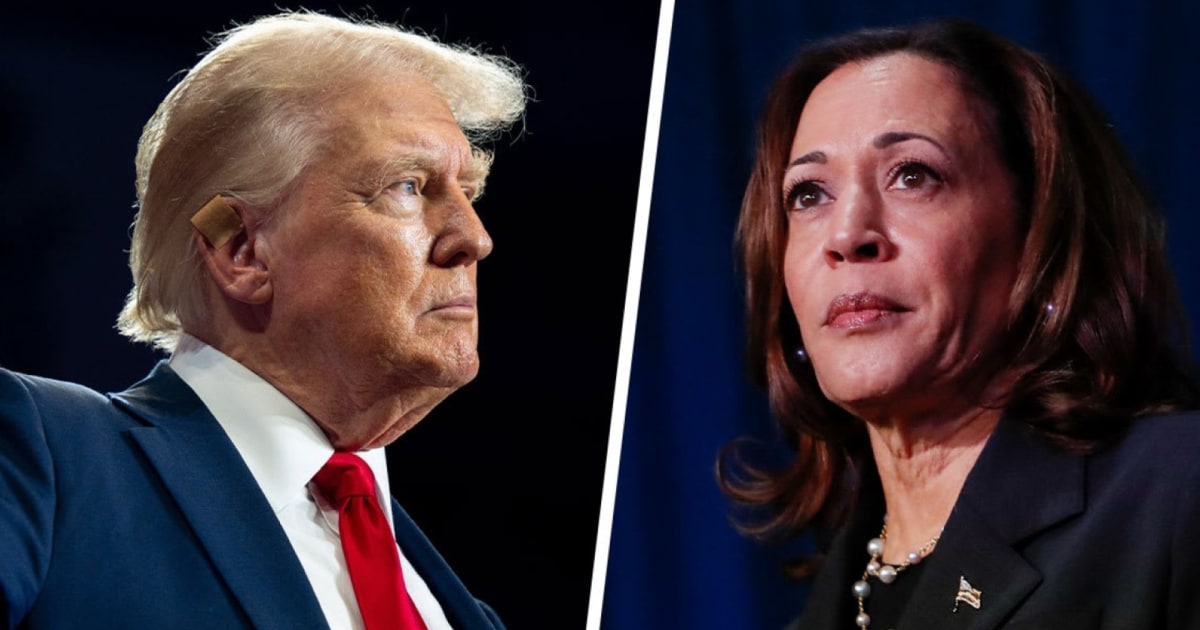 ’78-year-old criminal’: Harris campaign ‘in fight mode’ against Trump [Video]
