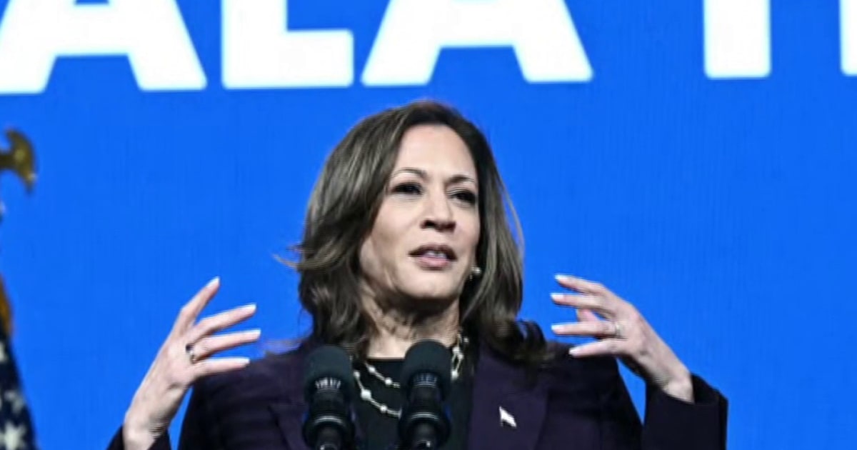 Bringing the fight to Trump’: How VP Kamala Harris candidacy has energized American politics [Video]