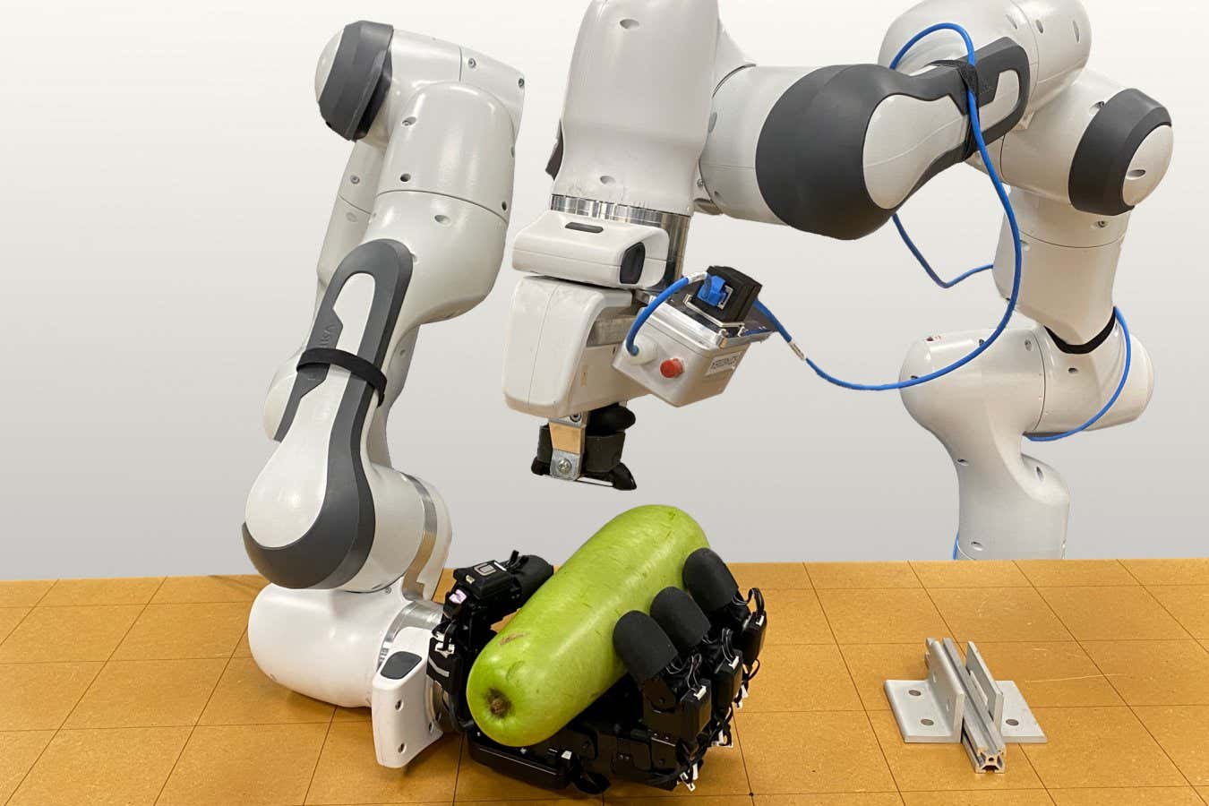 Watch a robot peel a squash with human-like dexterity [Video]