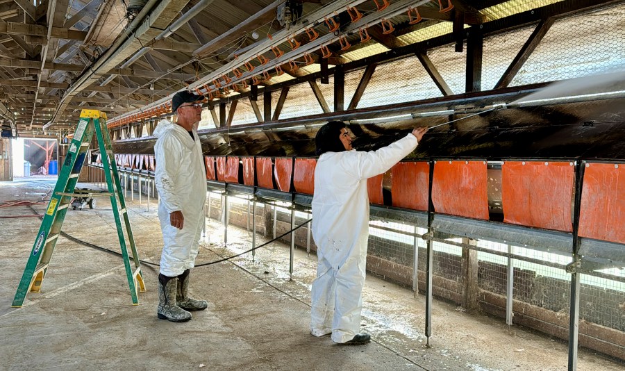 10 human avian flu cases confirmed among Colorados poultry, dairy workers [Video]