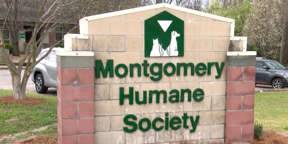 Montgomery shelter partially reopens for cat adoptions, continues fight against canine flu outbreak [Video]