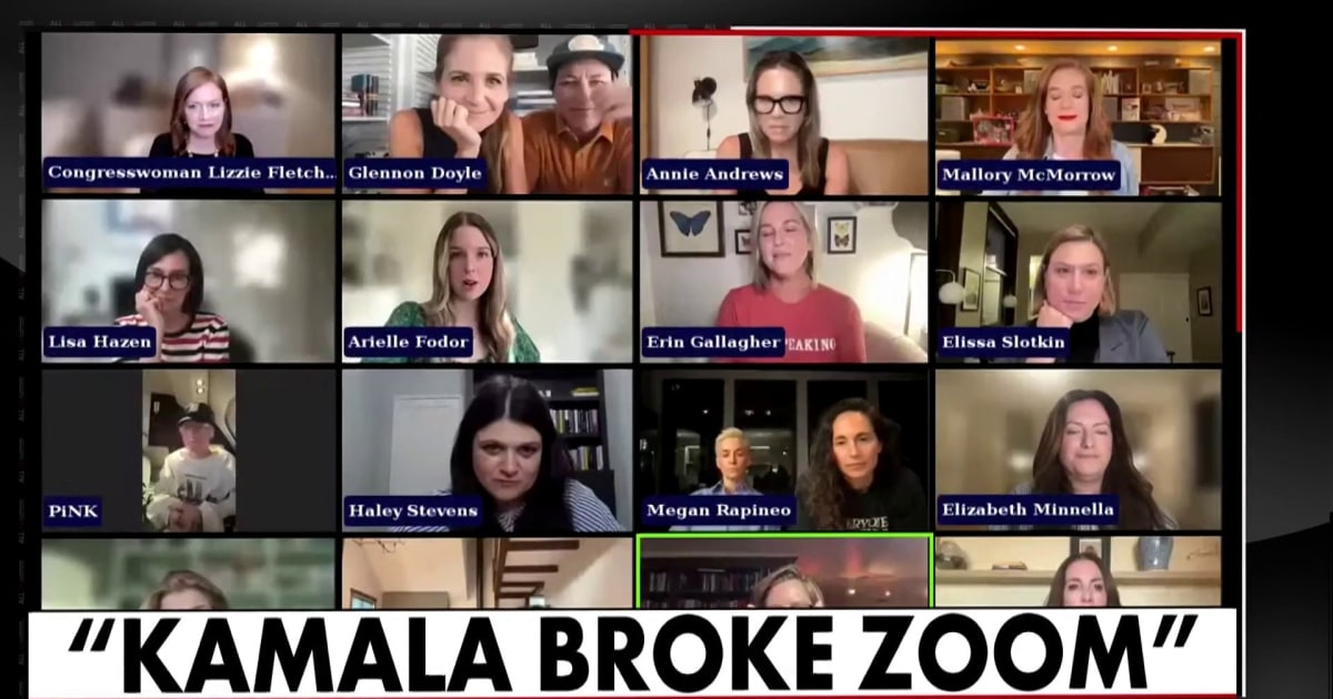 Kamala broke Zoom: Over 160,000 women join video call to rally for Harris