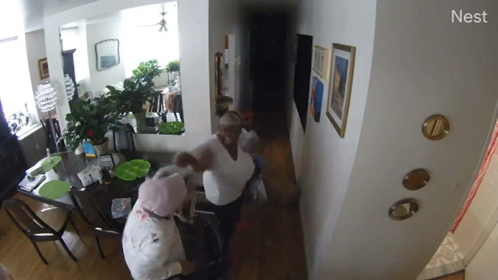 NYC Woman Assault: Video shows 95-year-old grandmother hit several times by home aide in Harlem